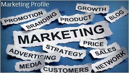 Marketing Profile Training